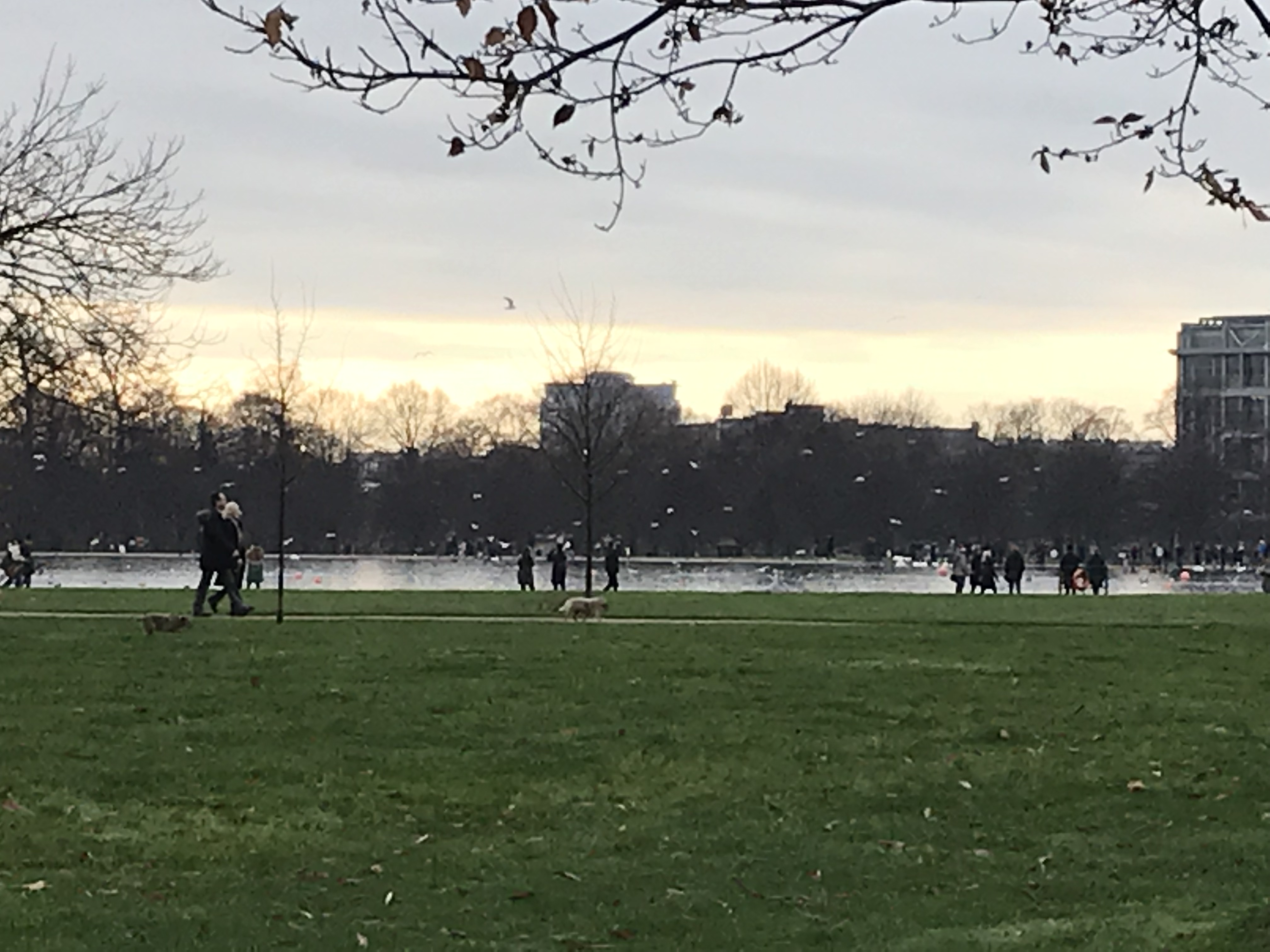 ./2018/15 - London/03 - Day 3/IMG_8816.jpg